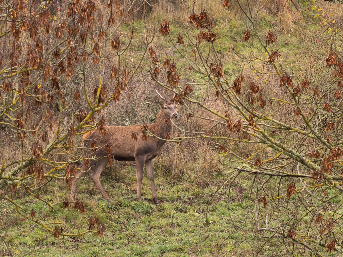 17112025-17 11 25 (5).jpg